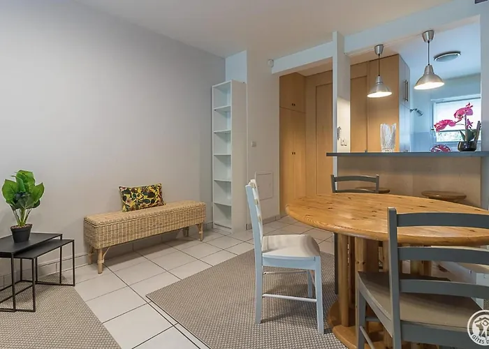 Duplex Casita Mia Chez Myriam 3 Etoiles Climatise 4 Adultes 2 3 Lits Terrasse Jardin Lägenhet Gragnague